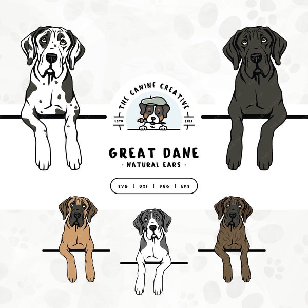 Great Dane SVG Natural Floppy Ears, Peeking Dog Clipart #2, Hand Drawn Dogs PNG, Dog Printable Art, Sublimation Design, Cricut Cut File