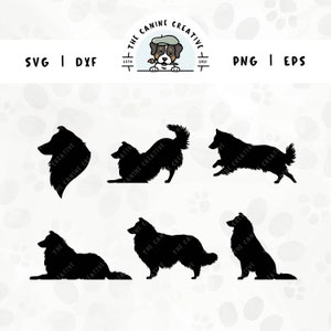 Rough Collie SVG / Shetland Sheepdog Razza Silhouettes / Sheltie Clipart PNG - Ritratto, Seduto, In piedi, Sdraiato, Correre, Giocare