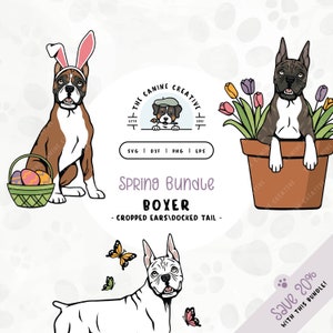 Op de afbeelding: Een digitale illustratieset van drie Boxer-honden met een lentethema. Eén hond draagt konijnenoren en houdt een mand met paaseieren vast. Een andere hond zit in een bloempot. De derde hond is wit met vlinders eromheen. De tekst "Spring Bundle Boxer - Cropped Ears/Docked Tail - Save 20% with this bundle!" staat onderaan de afbeelding.