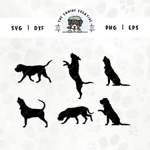 Paquete de diseño Bloodhound SVG / Siluetas de raza de perro sabueso / Perro de caza Clipart PNG - Caminar, mendigar, saltar, olfatear, aullar, aullar