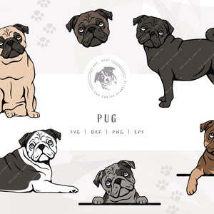 Pug SVG Bundle, Pug Face SVG, Sitting Dog Art, Standing Dog Design, Peeking Dog PNG, Dog Laying Down dxf, Vector Pug Illustration
