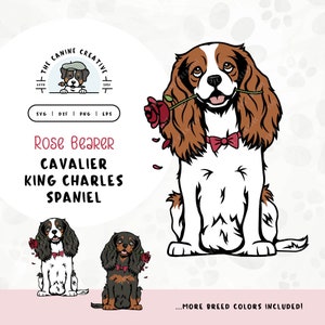 Cavalier King Charles Spaniel SVG | Dog with Rose Clipart | DIY Gift for Cavalier Mom, Valentines, or Anniversary | Gotcha Day Adoption PNG