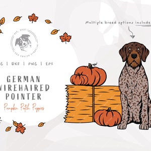May include: A digital illustration of a German Wirehaired Pointer dog sitting in front of a pile of hay bales and pumpkins. The text "German Wirehaired Pointer" and "Pumpkin Patch Puppies" is included in the image.