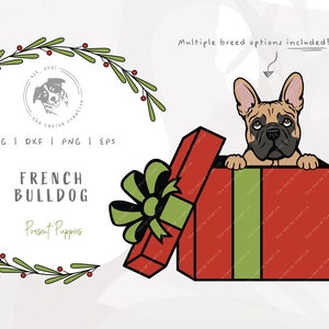 Frenchie Christmas SVG, French Bull Dog SVG, Peeking Dog PNG, Gift Box svg, Dog Christmas svg, Christmas Present Clipart, Printable Dog Art