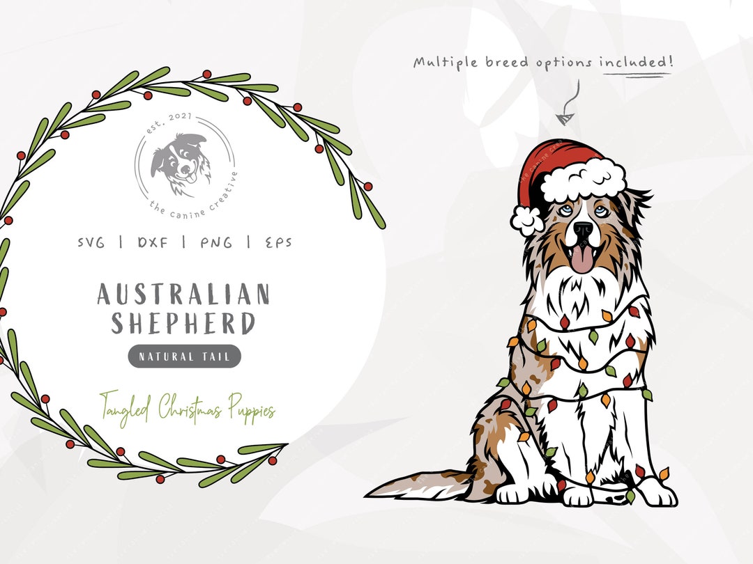 Hanging christmas aussie