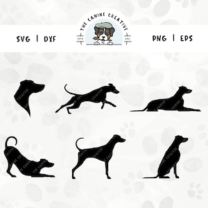 Doberman Silhouette SVG Bundle (Set 1), Natural Ears Undocked Tail, Dobie Head Clipart, Dog Sitting Standing PNG, Dog Laying Down, Dog