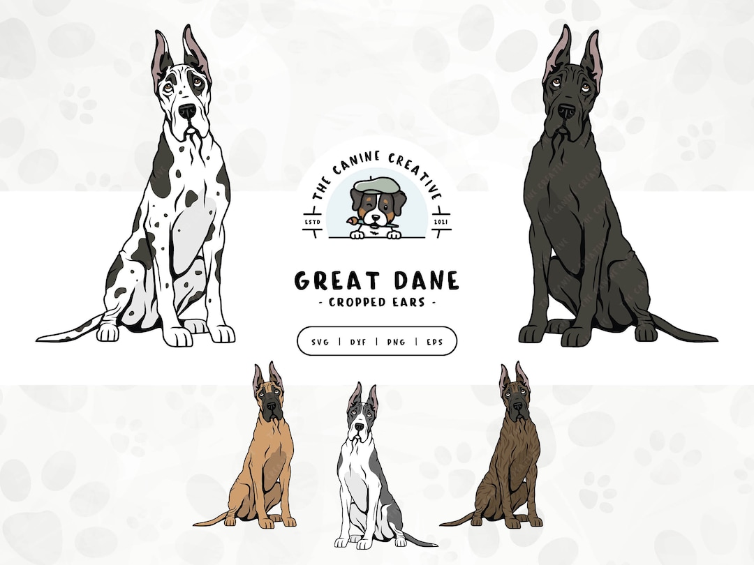 Great Dane Docked Tail And Ears Great Dane Marmaduke Dog Breed