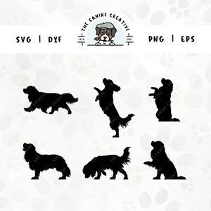 Cavalier King Charles Spaniel SVG, sagome di cani, clipart PNG Cavaliers, camminare, scuotere la zampa, saltare, chiedere l’elemosina, abbaiare, annusare
