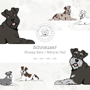 Schnauzer Dog SVG, Natural Ear Long Tail Schnauzer PNG, Laying Down Dog Clipart, Dog Printable Art, Sublimation Design, Cricut Cut File
