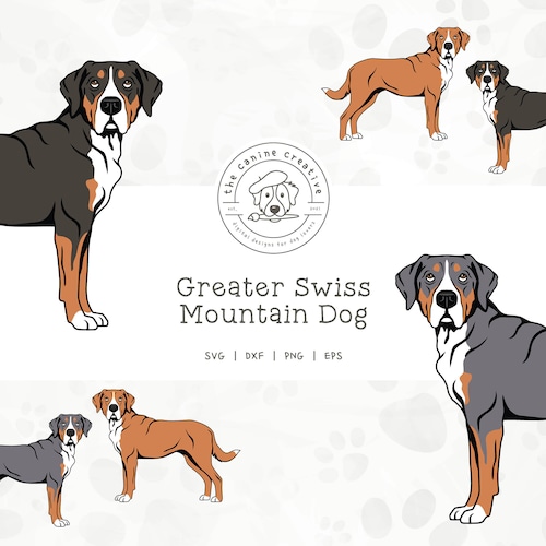 Greater Swiss Mountain Dogs SVG, Swissie Clipart, Standing Dog PNG, Printable Dog Art, Dog Illustration, Cricut Cut File, Layered SVG