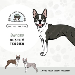 Standing Boston Terrier SVG Design | Cute Puppy Clipart PNG | Printable Pet Portrait Illustration | DIY Gift for Dog Lover, Mama, or Dad
