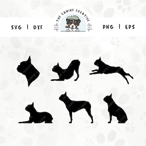 Boston Terrier SVG-Designs | Hunderassen-Silhouetten | Terrier Clipart PNG - Kopfportrait, sitzend, stehend, liegend, laufend, spielend