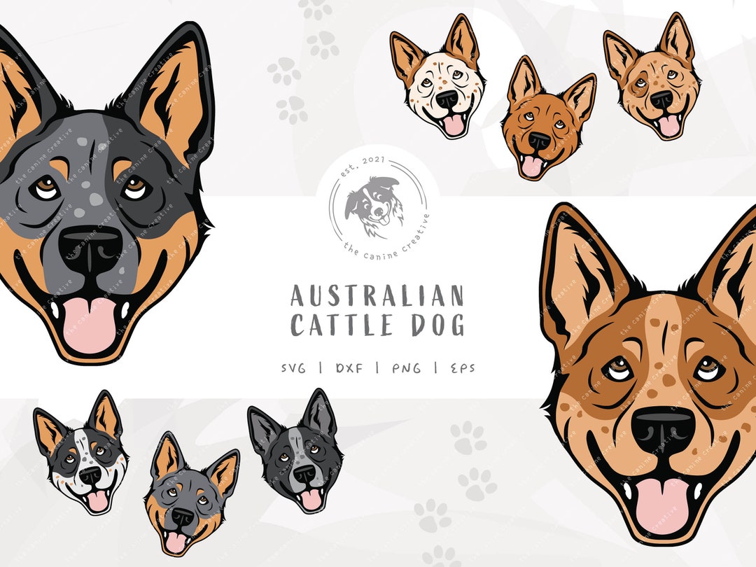 Heeler SVG, Dog Face Design, Australian Cattle Dog Clip Art, Blue ...