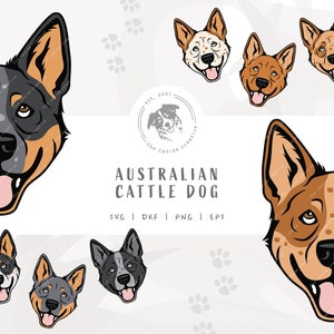 Heeler SVG, Dog Face Design, Australian Cattle Dog Clip Art, Blue Heeler Illustration PNG, Red Heeler Vector Design, Printable Dog Art