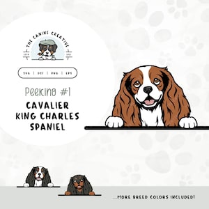 Peeking #1 Cavalier King Charles Spaniel SVG | Cavaliers PNG Clipart| Printable Pet Illustration | DIY Gift for Dog Lover, Mama, or Dad