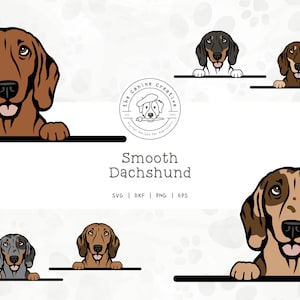 Smooth Dachshund SVG, Dachshunds Clipart, Peeking Dog SVG #1, Doxie Printable, Sausage Dog PNG, Wiener Dog Vector Art, Sublimation Design