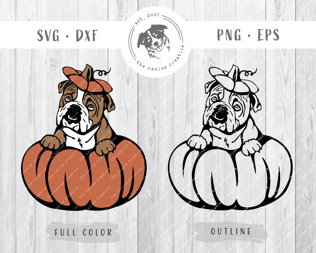 English Bulldog Pumpkin Patch Pup Design Bulldog Peeking Etsy english-bulldog-pumpkin-patch-pup-design-bulldog-peeking-etsy