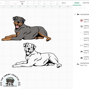 Rottweilers SVG, Docked Tail Rottweiler PNG, Laying Down Dog ...