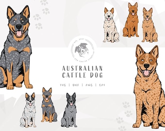 Heeler SVG, Dog Sitting Design, Australian Cattle Dog Clip Art, Blue Heeler Illustration PNG, Red Heeler Vector Design, Printable Dog Art