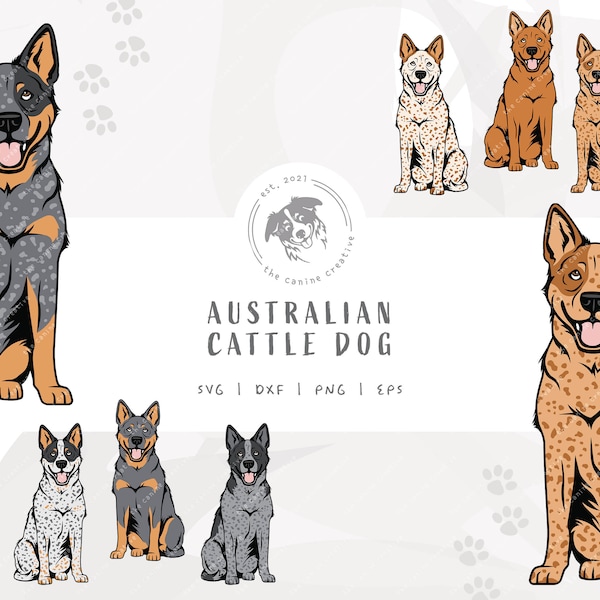 Heeler SVG, Dog Sitting Design, Australian Cattle Dog Clip Art, Blue Heeler Illustration PNG, Red Heeler Vector Design, Printable Dog Art