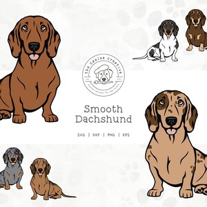 Smooth Dachshund SVG, Dachshunds Clipart, Sitting Dog Design, Doxie Printable, Sausage Dog PNG, Wiener Dog Vector Art, Sublimation Design
