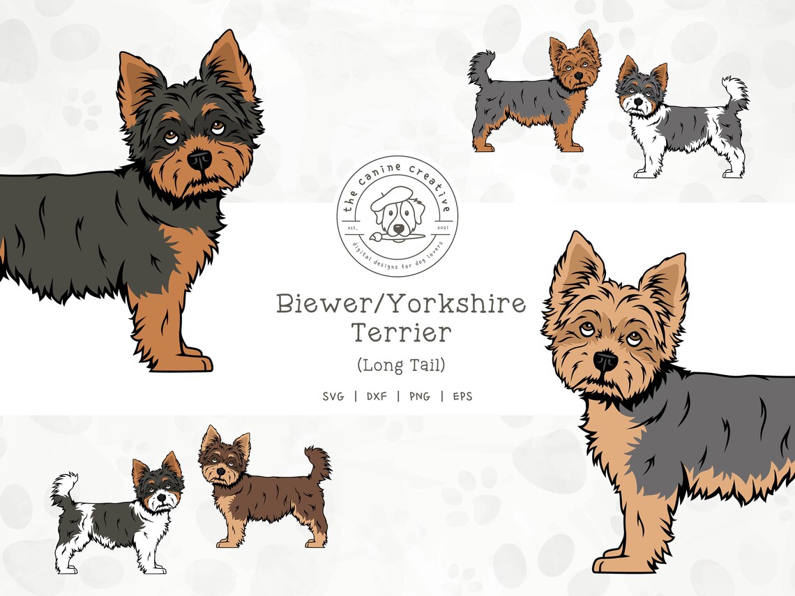 Yorkshire Terriers Clip Art, Yorkie SVG, Biewer Terrier PNG, Undocked ...