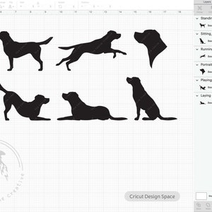 Labrador SVG, Labrador Retriever Silhouette Clipart Bundle, Dog Breed Silhouette PNG, Lab Dog SVG for Cricut, Labrador Vector, Dog Cut File image 8