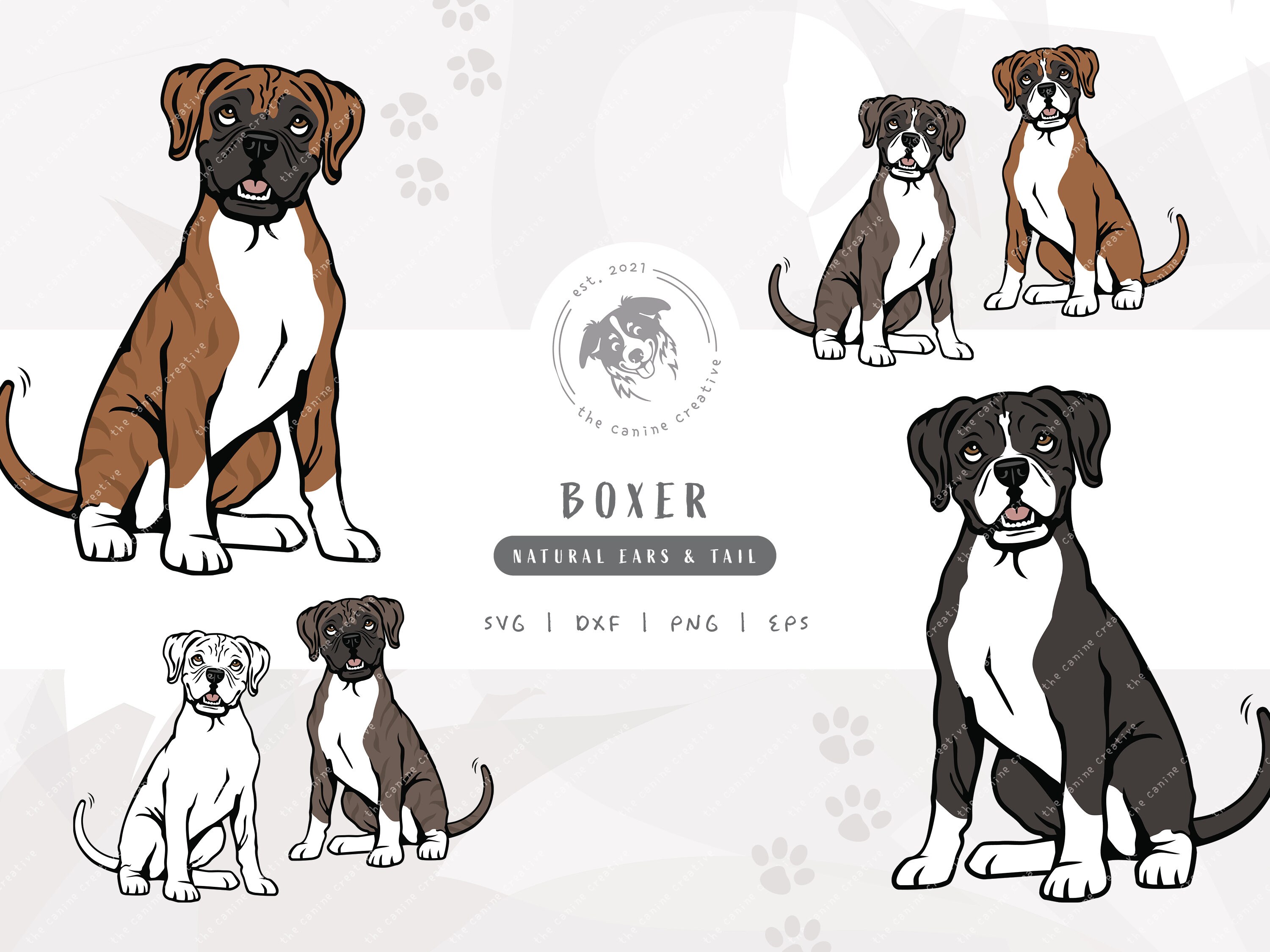 Natural Boxer Dog SVG Long Tail Boxer With Floppy Ears Art Etsy