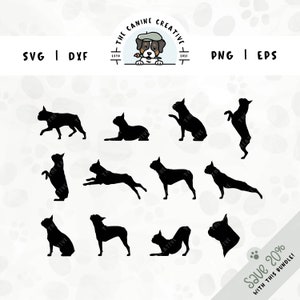 Boston Terriër SVG ontwerpbundel | Portret kant profiel poses hondenras silhouet clipart PNG | DIY-cadeau voor Boston Lover, mama of papa