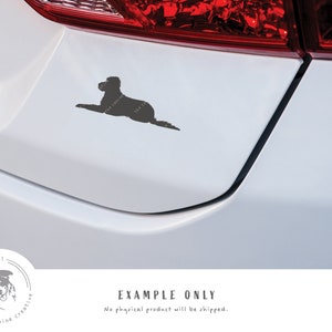 May include: A black silhouette of a dog lying down on a white car. The dog is facing the left side of the image. The car is a white sedan with a red taillight. The image is a digital mockup and says "EXAMPLE ONLY" at the bottom.
