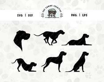Great Dane SVG Bundle Floppy Ears, Great Dane Head Silhouette, Dog Sitting Standing PNG, Dog Laying Down Design, Dog Running Playing Vector