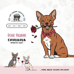 Smooth Coat Chihuahua SVG | Dog with Rose Clipart | DIY Gift for Chiwawa Mom, Valentines, or Anniversary | Gotcha Day Adoption PNG