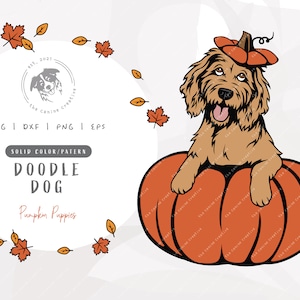 Fall SVG, Doodle SVG, Doodle Dog Clipart, Peeking Dog svg, Pumpkin PNG, Dog Halloween svg, Dog Thanksgiving Clipart, Autumn Dog Illustration