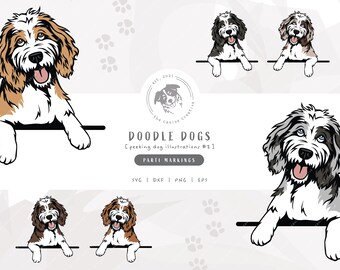 Parti Doodle SVG, Peeking Dog SVG #2, Bernedoodle SVG, Sheepadoodle Vector Art, Aussiedoodle png, Goldendoodle Clipart, Labradoodle Vector