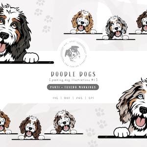 Parti Tuxedo Doodle SVG, Peeking Dog SVG #1, Bernedoodle SVG, Sheepadoodle Art, Aussiedoodle png, Goldendoodle Clipart, Labradoodle Vector