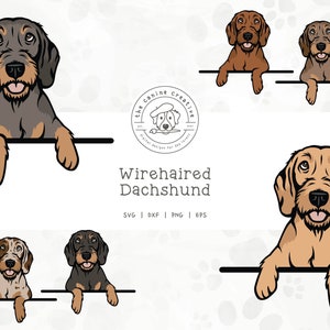 Wirehaired Dachshund SVG, Dachshunds Clipart, Peeking Dog SVG #2, Doxie Printable, Sausage Dog PNG, Wiener Dog Art, Sublimation Design