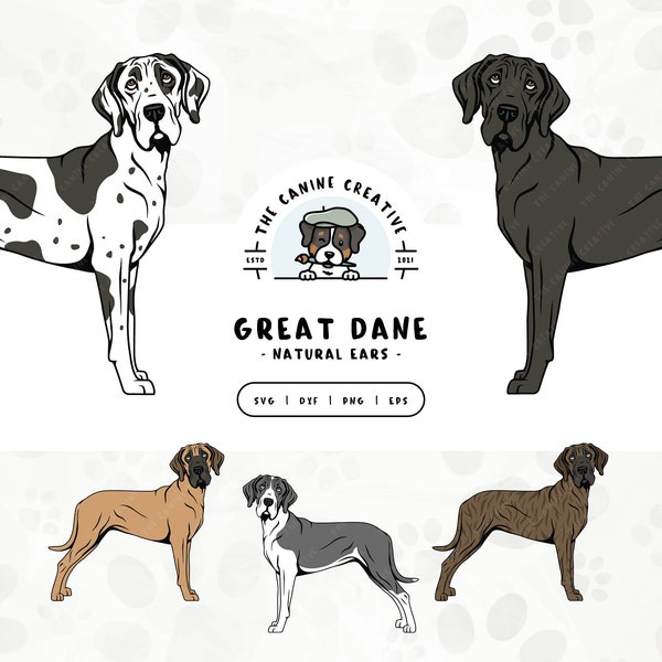 Great Dane SVG Natural Floppy Ears, Standing Dog Clipart, Hand Drawn Dogs PNG, Dog Printable Art, Sublimation Design, Cricut Cut File