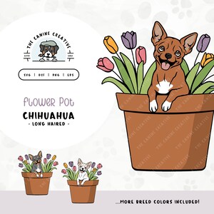 May include: A digital illustration of a long-haired Chihuahua dog peeking out of a flower pot with a bouquet of tulips. The dog is brown and white with a pink tongue sticking out. The pot is brown and has the text "The Canine Creative" repeated around it.