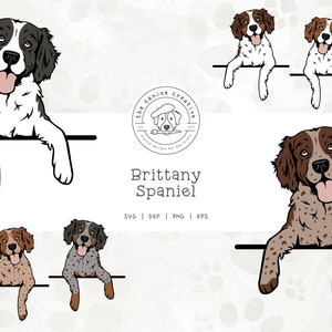 Brittany Dog SVG, Brittany Spaniel Clipart, Peeking Dog PNG #2, Hunting Dog Vector, Printable Dog Art, Dog Illustration, Cricut Cut File