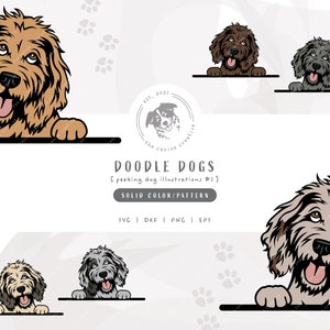 Doodle SVG, Peeking Dog SVG #1, Merle Aussiedoodle png, Layered Goldendoodle SVG, Labradoodle Vector Clipart, Golden Doodle Sublimation Art