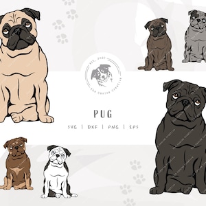 Pug SVG, Dog Sitting Design, Brindle Pug Clip Art, Fawn Pug Illustration, Black Pug Art, Printable Dog Portrait, Cricut Cut File, Dog Vector