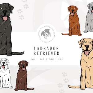 May include: A digital design file featuring six different Labrador Retriever dog illustrations. The dogs are all sitting and facing forward. The dogs are in various colors, including black, brown, yellow, and gray. The text "Labrador Retriever" is written in black letters below the images. The text "SVG | DXF | PNG | EPS" is written in black letters below the text "Labrador Retriever".