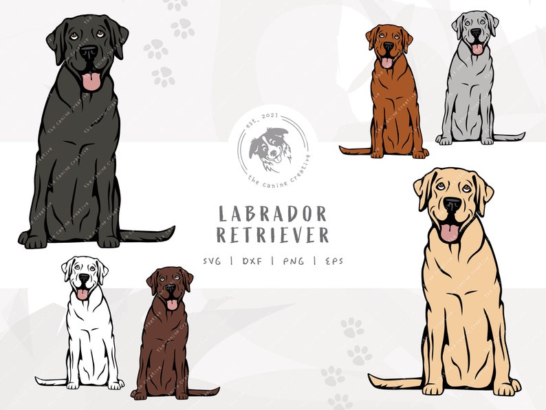 Labrador SVG Dog Sitting SVG Yellow Lab Dog Vector Black - Etsy