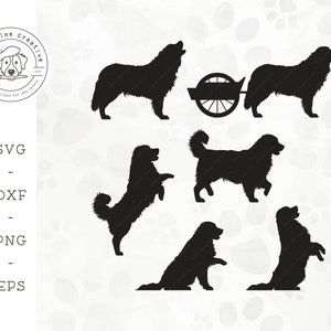 Bernese Mountain Dog SVG, Barking Berner Silhouette, Dog Pulling Cart Clip Art, Walking Dog PNG, Jumping Dog Vector, Paw Shake, Begging Dog