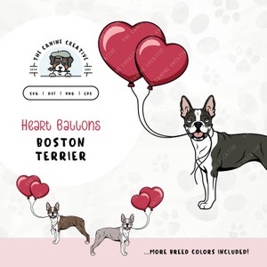 Boston Terrier SVG | Cute Puppy with Heart Balloons Clipart | DIY Gift for Dog Mama, Valentines, or Anniversary | Gotcha Day Adoption PNG