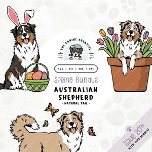 Op de afbeelding: Een digitale illustratieset van drie Australian Shepherd honden in verschillende lentethema-poses. Eén hond draagt konijnenoren en houdt een mand met paaseieren vast, een andere zit in een pot met bloemen en de derde staat met vlinders die eromheen vliegen. De tekst "Spring Bundle Australian Shepherd - Natural Tail -" is in de afbeelding opgenomen.
