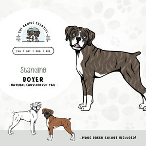 Standing Boxer Dog with Floppy Ears SVG | Cute Puppy Clipart PNG | Printable Pet Illustration | DIY Gift for Dog Lover, Mama, or Dad