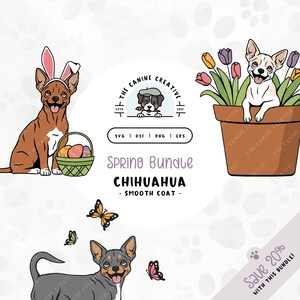 May include: A digital illustration set of a Chihuahua dog in various spring-themed scenes. The set includes a Chihuahua wearing bunny ears and holding a basket of Easter eggs, a Chihuahua sitting in a pot of flowers, and a Chihuahua with butterflies. The text "Spring Bundle Chihuahua - Smooth Coat -" is included in the image.