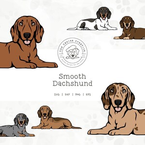 Smooth Dachshund SVG, Laying Down Dog Design, Dachshunds Clipart, Doxie Printable, Sausage Dog PNG, Wiener Dog Art, Sublimation Design