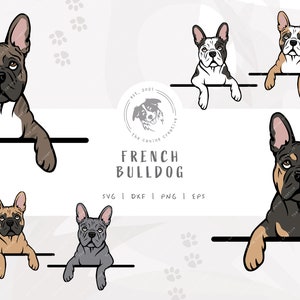 French Bull Dog SVG, French Bulldog SVG, Frenchie PNG, Peeking Dog svg #2, Printable Dog Art, Frenchie Clipart, Cartoon Dog Illustration